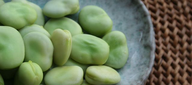 Broad-beans-after-cooking-(1)