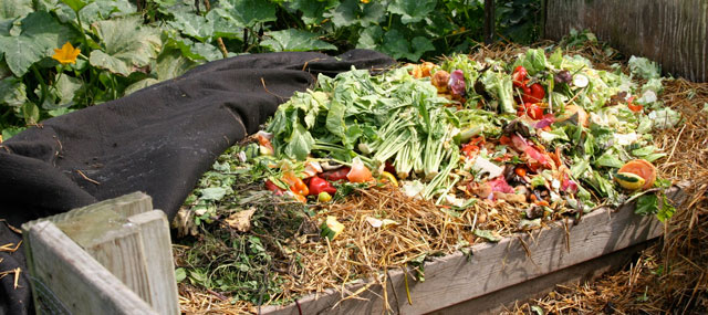 Organic Garden Tips January February – Composting