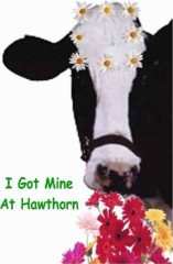 flowercow